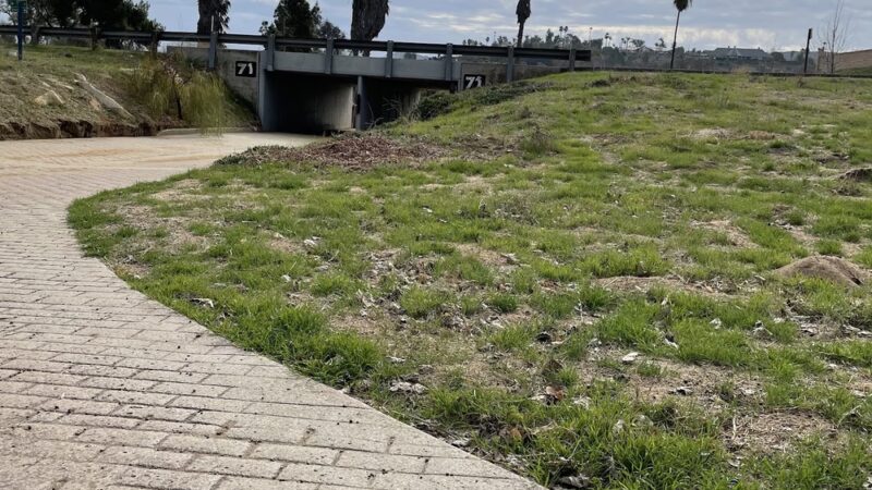 Bonsall Preserve - Bonsall, CA