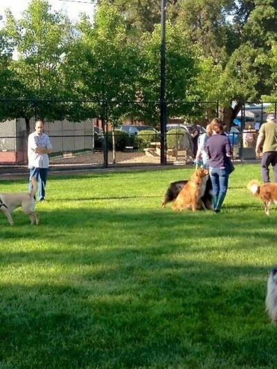 Owensboro Dog Park Association - Boonville, KY