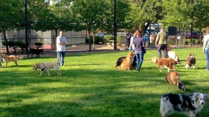 Owensboro Dog Park Association - Boonville, KY