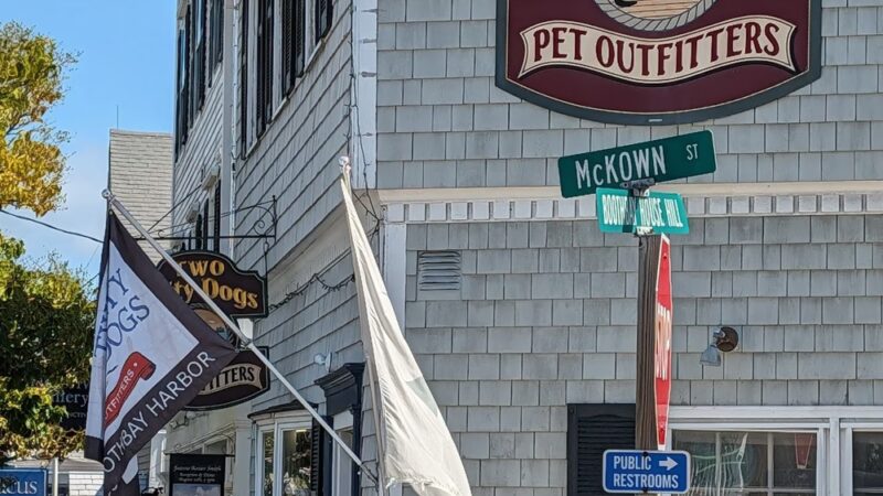 Two Salty Dogs Pet Outfitters - Boothbay Harbor, ME