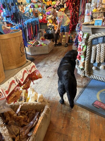 Two Salty Dogs Pet Outfitters - Boothbay Harbor, ME