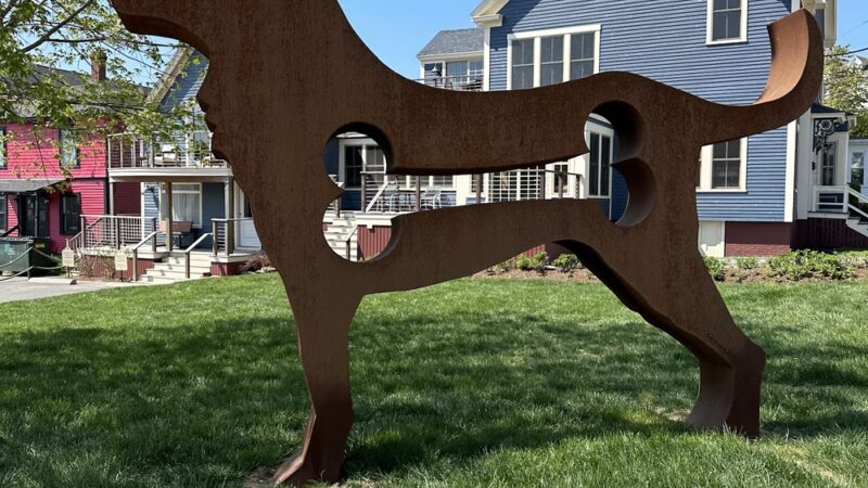 Two Salty Dogs Pet Outfitters - Boothbay Harbor, ME