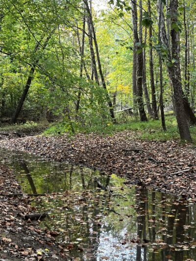 Deam Lake Trailhead - Borden, IN