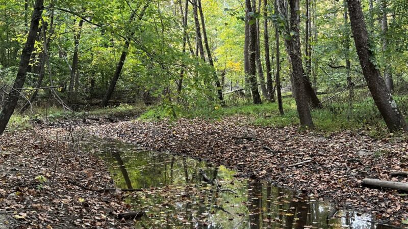 Deam Lake Trailhead - Borden, IN