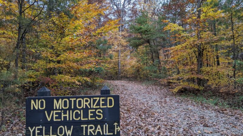 Deam Lake Trailhead - Borden, IN
