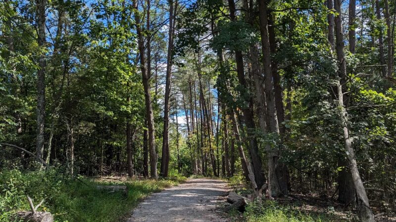 Deam Lake Trailhead - Borden, IN