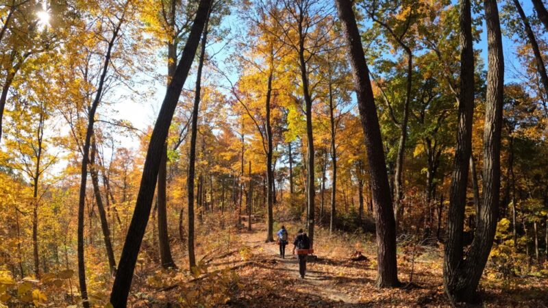 Knobstone Trail Deam Lake TH - Borden, IN