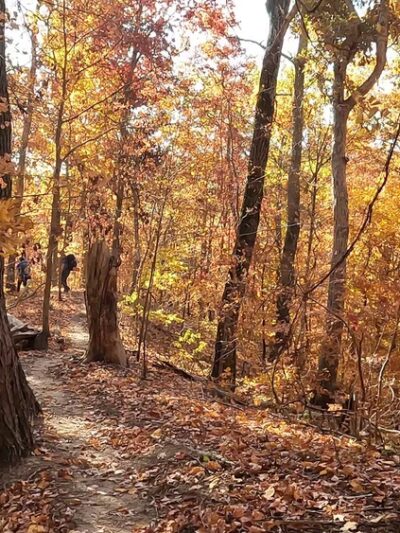 Knobstone Trail Deam Lake TH - Borden, IN