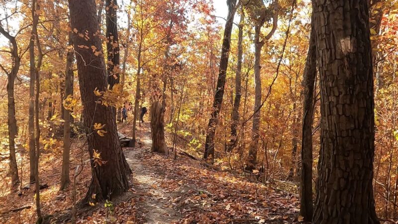 Knobstone Trail Deam Lake TH - Borden, IN