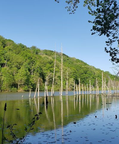 Knobstone Trail Deam Lake TH - Borden, IN