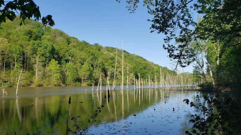Knobstone Trail Deam Lake TH - Borden, IN