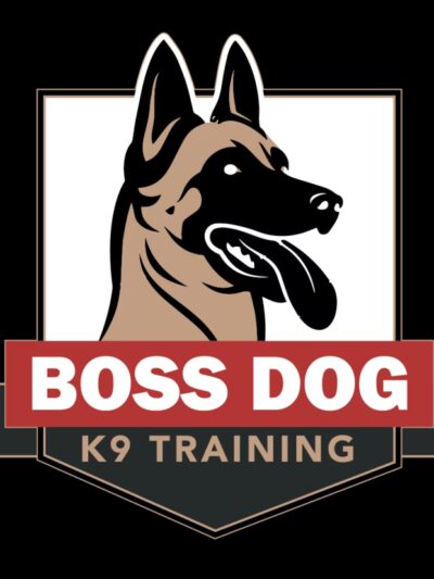 Boss Dog K9 Training - ,