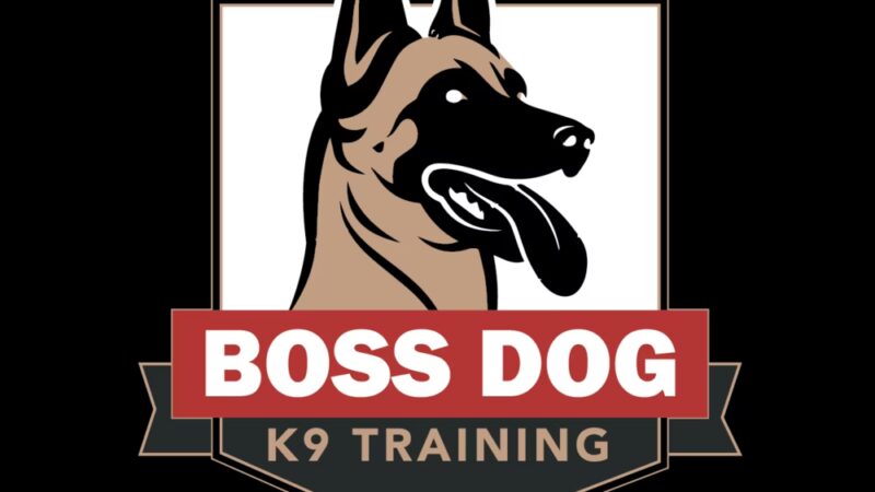 Boss Dog K9 Training - ,