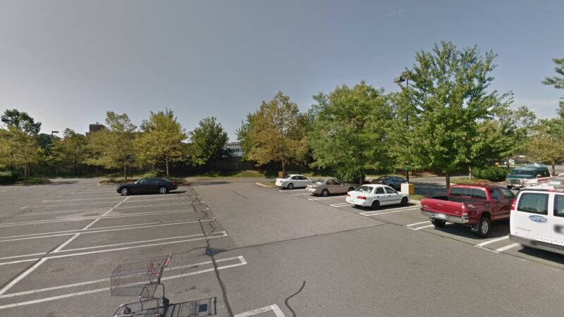 Dog Park at Rita Hester Green - Boston, MA