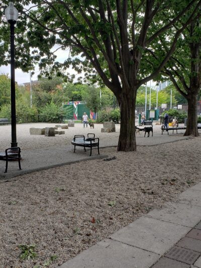 Peters Park - Boston, MA