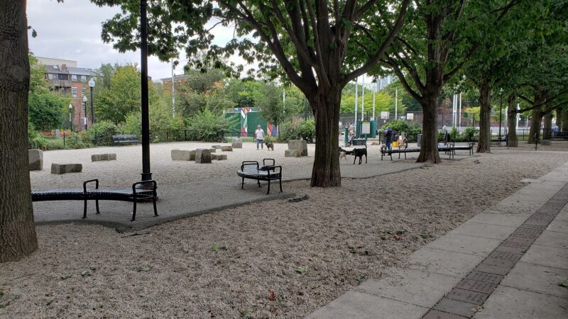Peters Park - Boston, MA