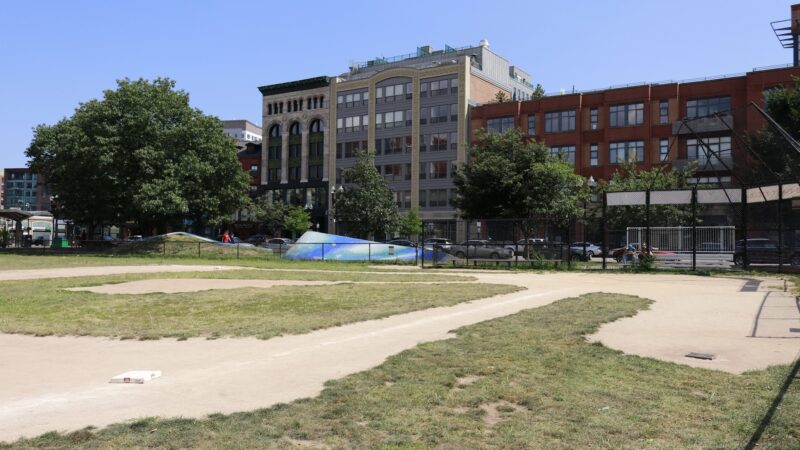 Peters Park - Boston, MA