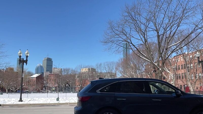 Peters Park - Boston, MA