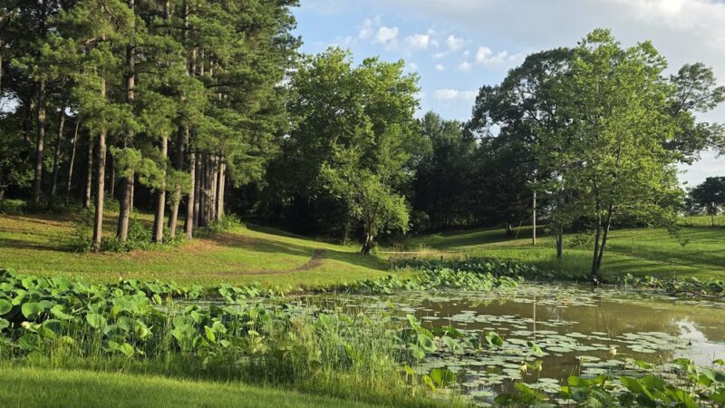 Boswell State Park - Boswell, OK