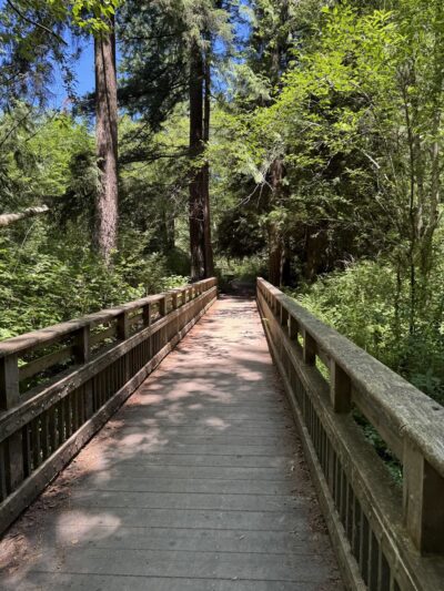 Tambark Creek Off-Leash Dog Park - Bothell, WA