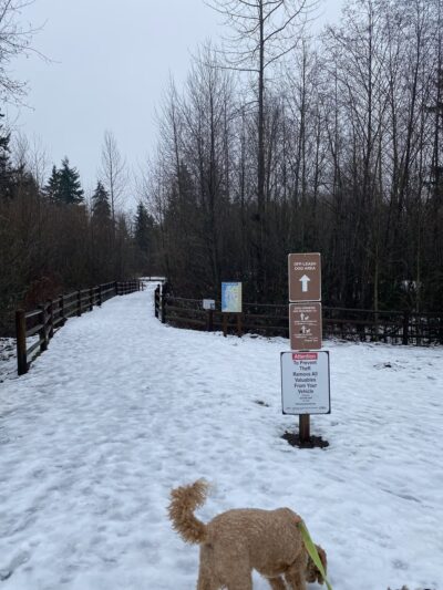 Tambark Creek Off-Leash Dog Park - Bothell, WA