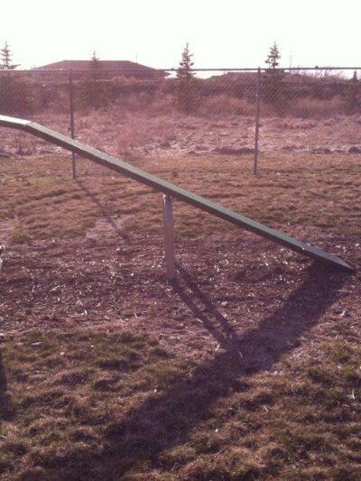 Wood County Dog Park - Bowling Green, OH