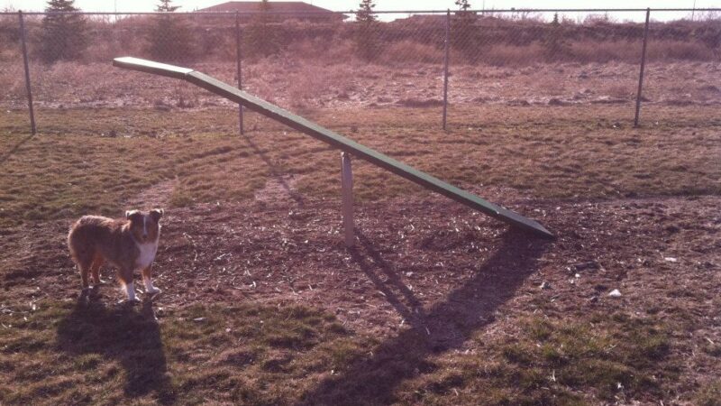 Wood County Dog Park - Bowling Green, OH