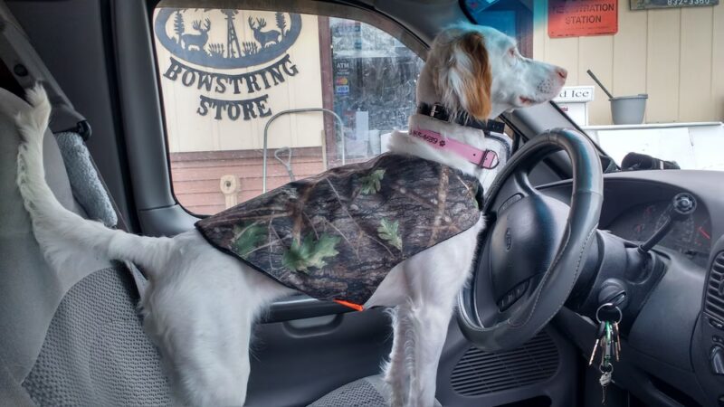 Bowstring Store - Bowstring, MN