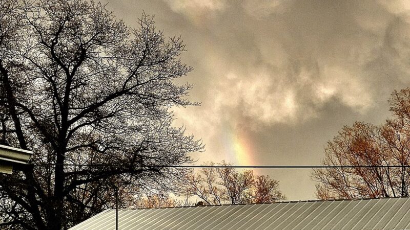Boyceville Park - Boyceville, WI
