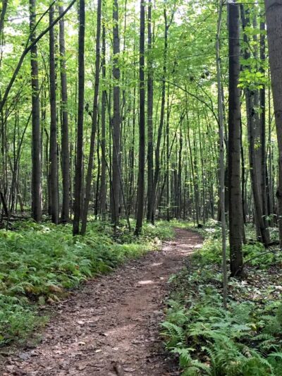 Bucklodge Conservation Park - Boyds, MD