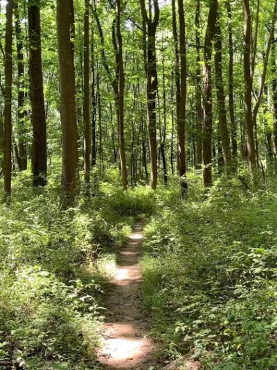 Bucklodge Conservation Park - Boyds, MD