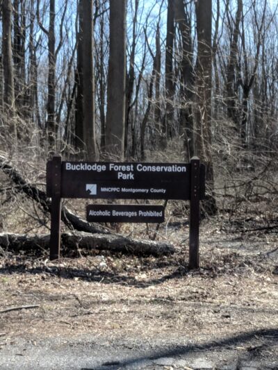 Bucklodge Conservation Park - Boyds, MD