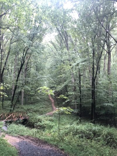 Cabin Branch Trail - Boyds, MD