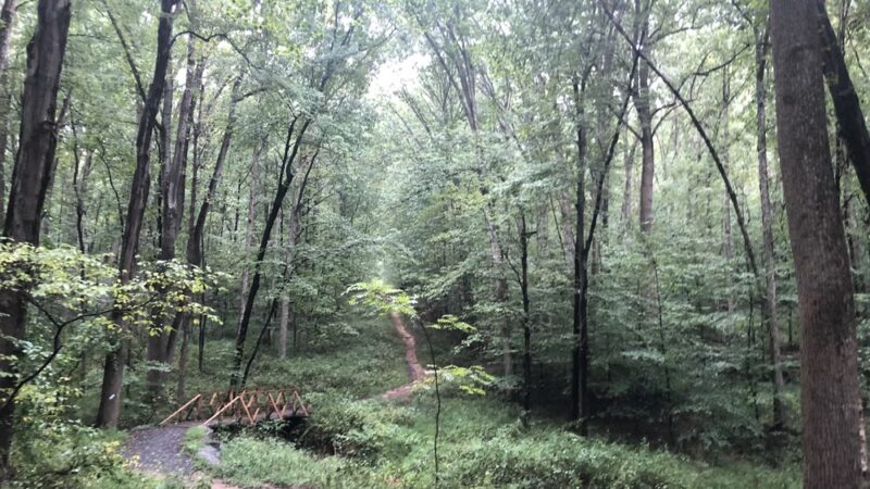 Cabin Branch Trail - Boyds, MD