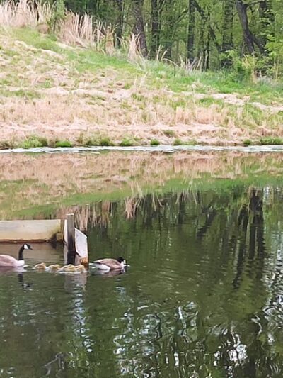 Clarkmont Local Park - Boyds, MD