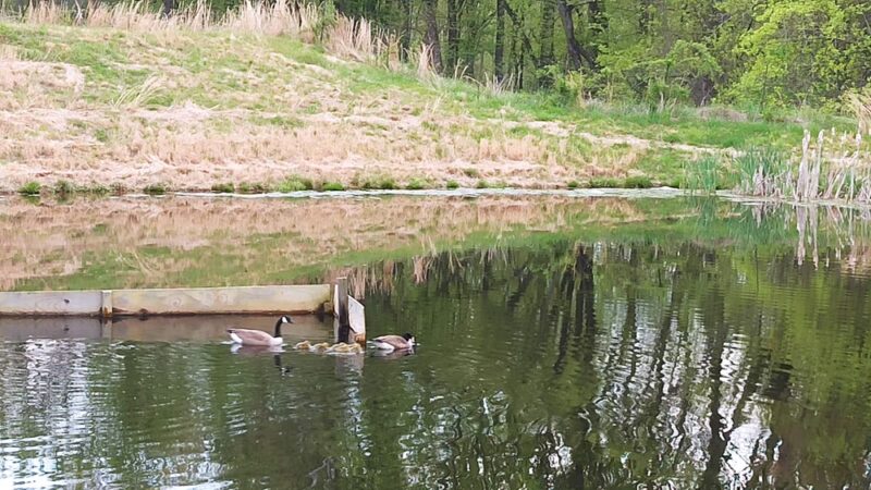 Clarkmont Local Park - Boyds, MD