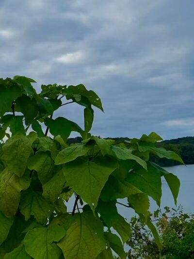 Clarksburg Rd. Trail Access Parking Lot - Boyds, MD