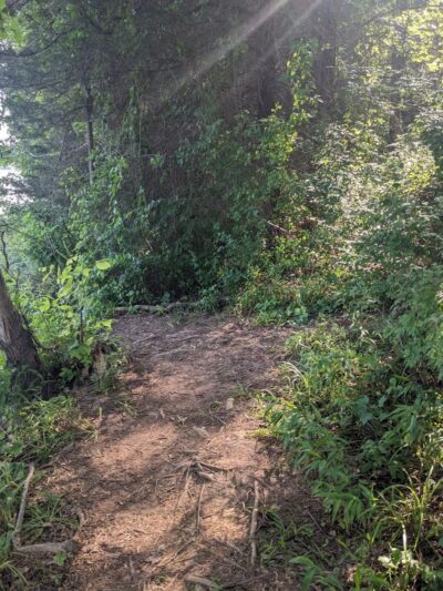 Clarksburg Rd. Trail Access Parking Lot - Boyds, MD