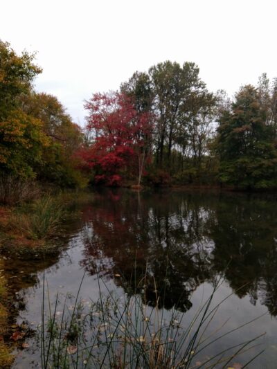 Clarksburg Rd. Trail Access Parking Lot - Boyds, MD