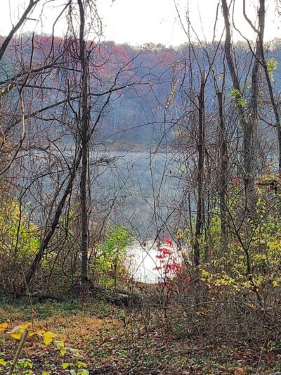 Cool Spring Run - Boyds, MD