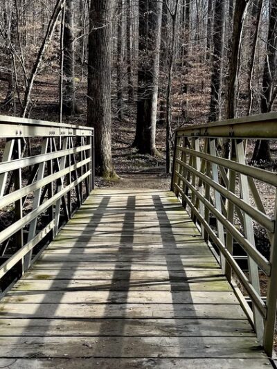 Hamilton Trail - Boyds, MD