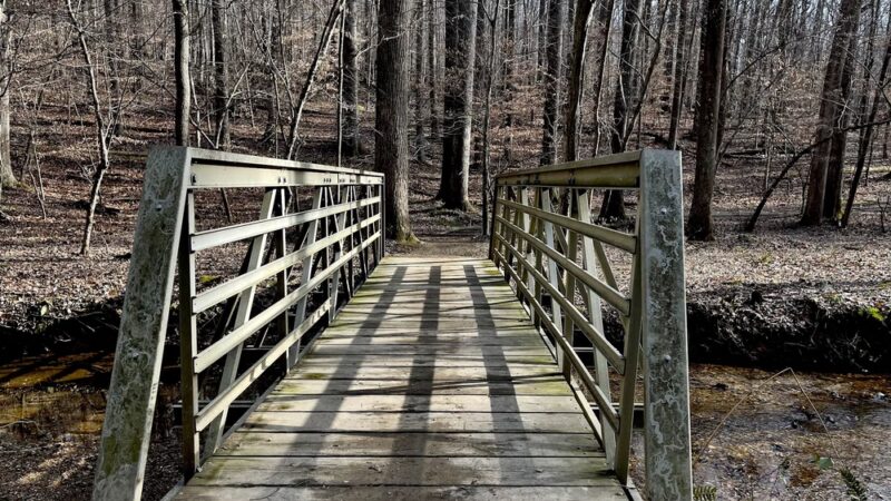 Hamilton Trail - Boyds, MD