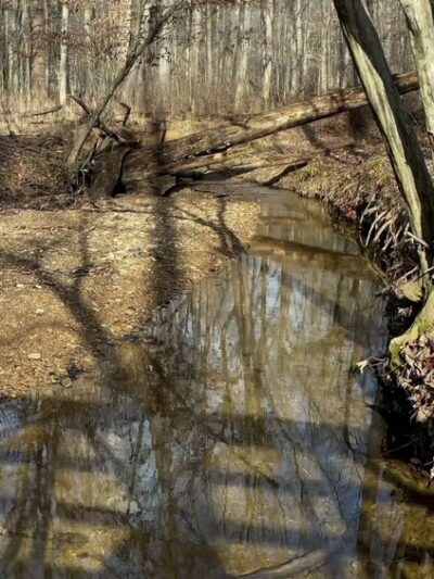 Hamilton Trail - Boyds, MD