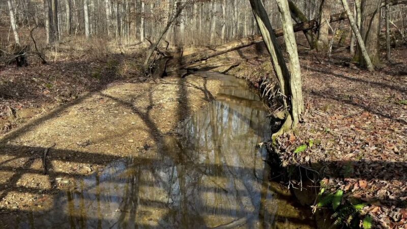 Hamilton Trail - Boyds, MD