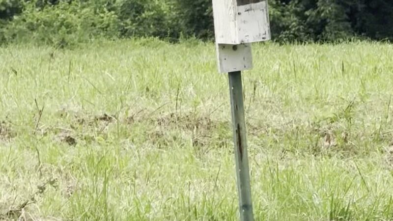 Hoyles Mill Trail - Boyds, MD