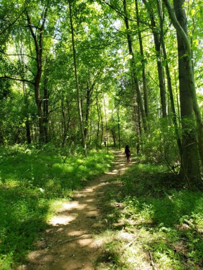 Hoyles Mill Trail - Boyds, MD