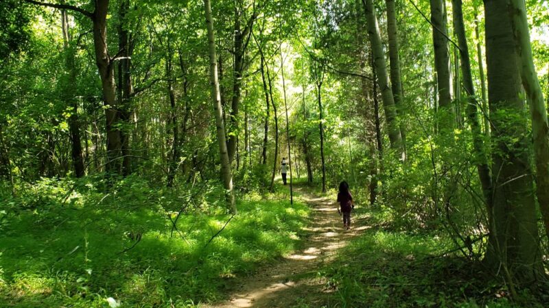 Hoyles Mill Trail - Boyds, MD