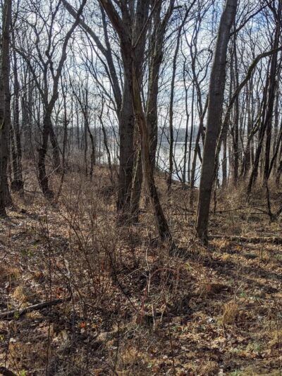 Hoyles Mill Trail - Boyds, MD