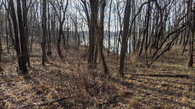 Hoyles Mill Trail - Boyds, MD