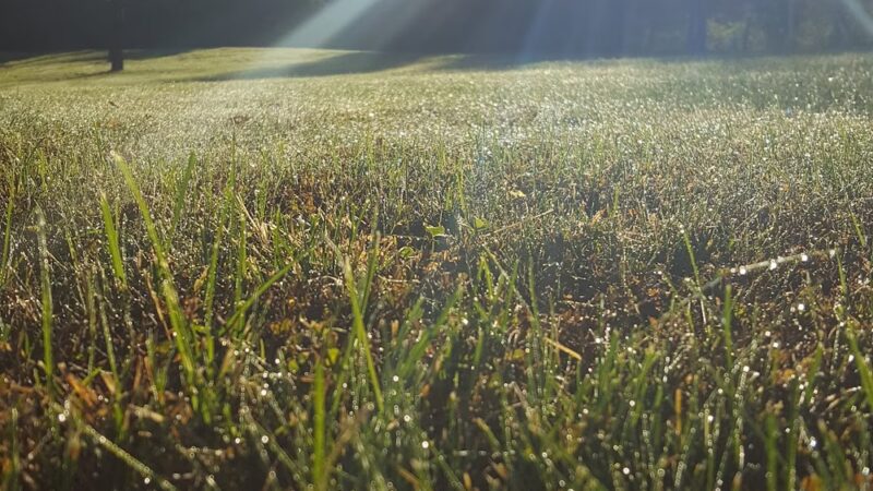 King's Crossing Local Park - Boyds, MD